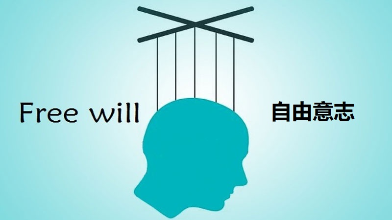 自由意志