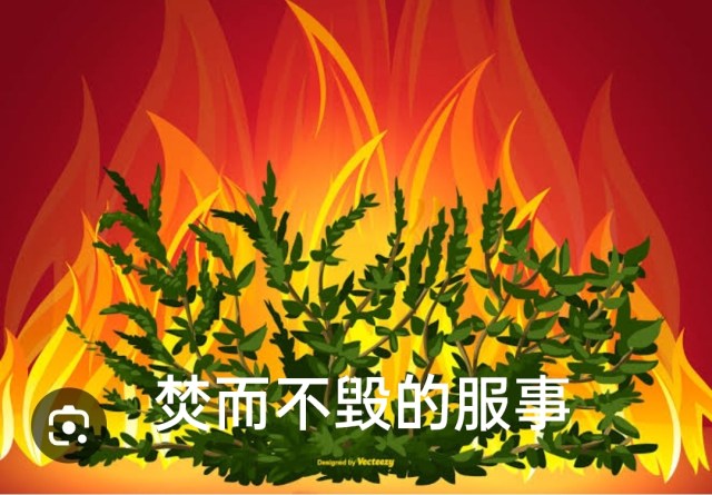 Polish_20230705_222119308